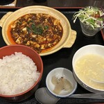 松の樹 - 