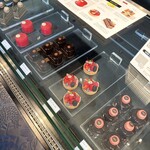 bubó BARCELONA - 