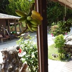 ちろりん村 - 