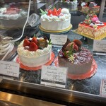 アルカション - 