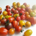 オーガニックカフェ　チャント - 地元の季節の旬の無農薬、有機野菜を使用しています