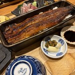 鰻魚四代目菊川 京都驛Porta店 - 