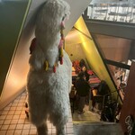 ALDO - 入口を半分塞ぐアルパカ笑