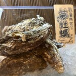 オストラ デ オーレ - 