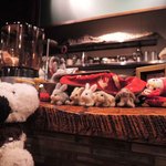 うさぎとぼく - 阿倍野の人気カフェ『うさぎとぼく』さん。
      2月に入ってまだまだ寒い日が続いているので、
      うさぼくさんのカウンターは今、こんな感じになってます。