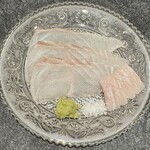 鮨 こん藤 - マツカワガレイ（北海道）
  今朝豊洲で締めたばかり