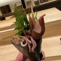 鮨 こん藤 - ホタルイカのブーケ　◎◎
                      この時期のスペシャリテ
                      大葉、茗荷、ガリ、芽ねぎで後味がものすごく爽やか！