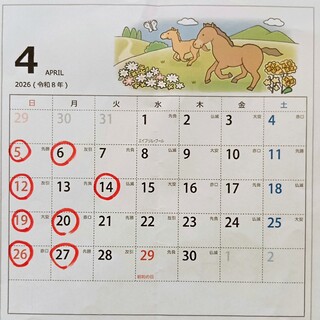 ワイン+つまみ Nomka_1