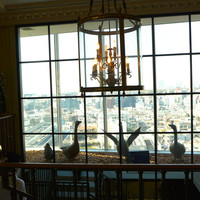 Benoit Alain Ducasse - 