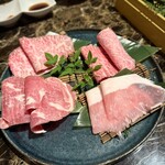 Shangri-La's secret - 