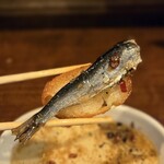 ワシントン食堂 - 