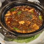 松の樹 - 