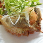 ポエシア - 根室産毛蟹のバベッティーニ