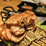 완전 개별룸 이자카야 카코이 신바시점 - 