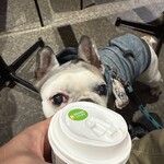 ドトール パークカフェ - ドリンク写真: