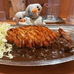 ゴーゴーカレー - ロースカツカレー中盛り　1,030円(税込)   ※横からも