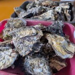 モンキー - 料理写真: