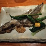 隠家 あわい - 