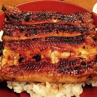 吉寅 - 