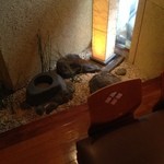 飛騨牛一頭家 馬喰一代 - 