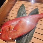 金目鯛の佐藤 - 