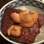 SATOブリアン - 