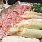 YAZAWA - 