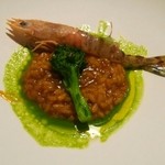 セララバアド - 