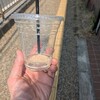 珈琲屋 凡豆