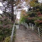 月光 - いつかの新倉山、いつもの丘へ