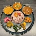 Curry Spice Gelateria KALPASI - 