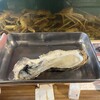 能登食祭市場 - 料理写真:生牡蠣　¥800