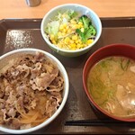 すき家 - 牛丼並盛、豚汁サラダセット
