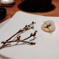 ハサボン - 土の下で、春は待つ