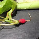 レストラン バカール - マイクロラディッシュ