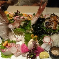冬の釣魚　　11月～3月