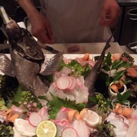 夏～秋の釣魚　 4月～9月