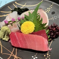 伊豆の旬 やんも 丸の内店 - 刺　身　 伊豆伊東港直送『地魚刺身盛り合わせ』本まぐろ　盛り合わせ