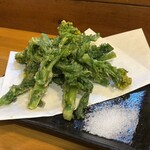 樫尾食堂 - 春ですね♪