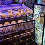 ちゅらさん亭 - 
