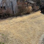 木のけむり - 