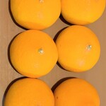 公正屋 - 袋から出たいて(ﾉ´ヮ`)ﾉ*: ･ﾟ