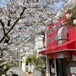 中華そば ますたに - さくら爛漫❗️