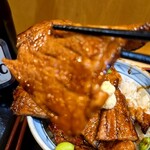 豚丼のはなとかち - 半バラ中盛