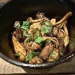 biodinamico - 