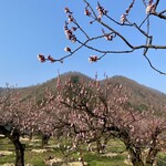 ゆで太郎 - 