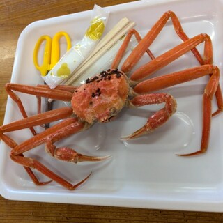 マリンドリーム能生_0