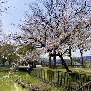 みずたに_2