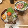 小田原魚河岸でん - 湘南しらすの小田原三色丼 ＆ ネギトロ・シラス丼