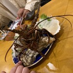 伊勢海鮮 Ebisu - 